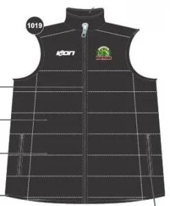 Vest
